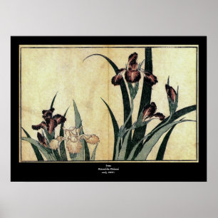 Katsushika Hokusai's Ukiyo-e Woodcut Print: Irises Poster