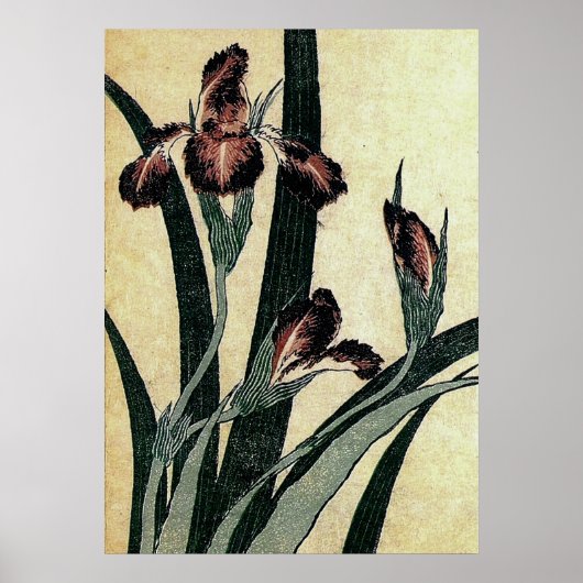 Katsushika Hokusai's Ukiyo-e Woodcut Print: Irises Poster (Voorkant)