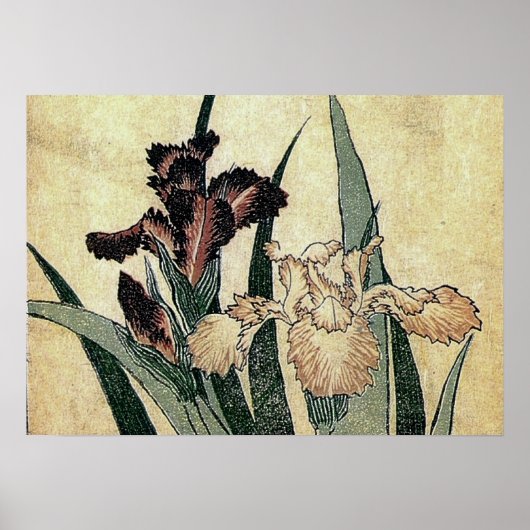 Katsushika Hokusai's Ukiyo-e Woodcut Print: Irises Poster (Voorkant)