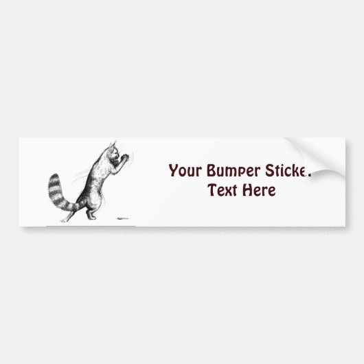 Katt springt2 bumpersticker (Voorkant)