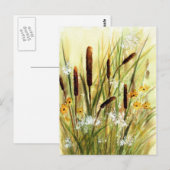 kattails briefkaart (Voorkant / Achterkant)