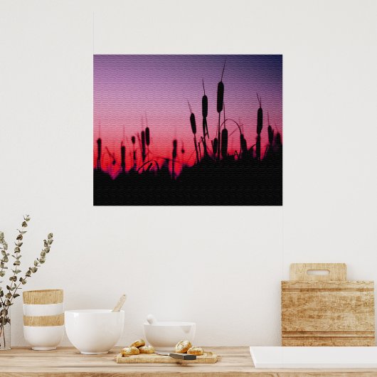 Kattails in de zon poster (Keuken)