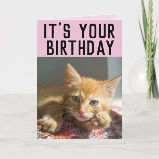 KATTE GINGER CAT KITTEN GIRLS BIRTHDAAGKAARTEN KAART (Voorkant)