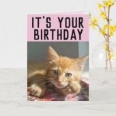 KATTE GINGER CAT KITTEN GIRLS BIRTHDAAGKAARTEN KAART (Gele Bloem)