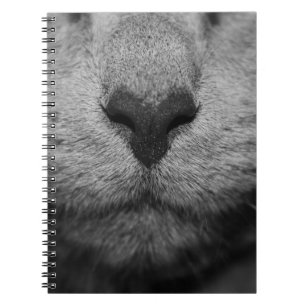 KATTE NOSE IN ZWARTE EN WITTE NOTITIEBOEK
