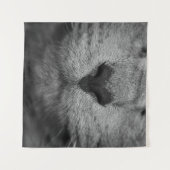 KATTE NOSE IN ZWARTE EN WITTE WANDKLEED (Voorkant (horizontaal))