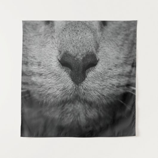 KATTE NOSE IN ZWARTE EN WITTE WANDKLEED (Voorkant)