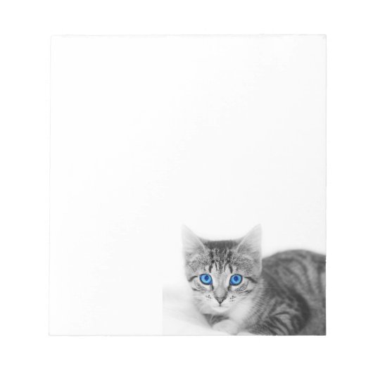 katteblocnote notitieblok (Voorkant)