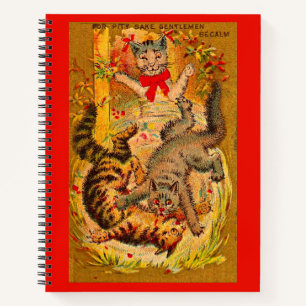 kattegevecht notitieboek
