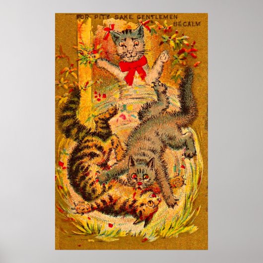 kattegevecht poster (Voorkant)