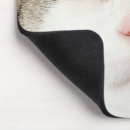 kattegezicht muismat (Hoek)