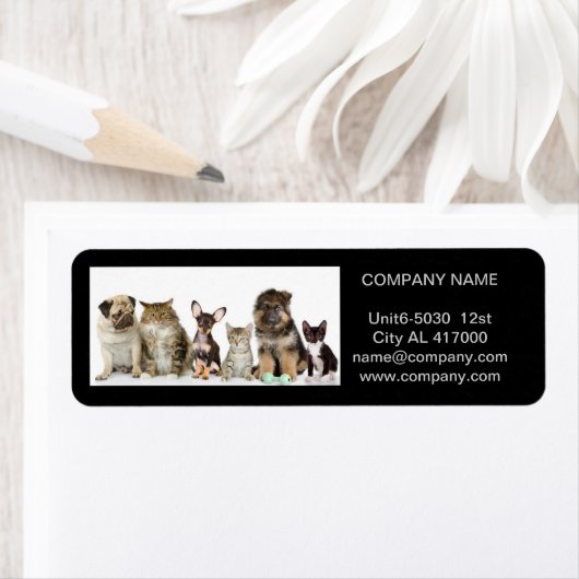 kattekattenvoer dierentuin dierentuin etiket (Insitu)