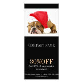 kattekattenvoer dierentuin dierentuin reclamekaart (Voorkant)