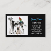 kattekattenvoer dierentuin dierentuin visitekaartje (Voorkant)