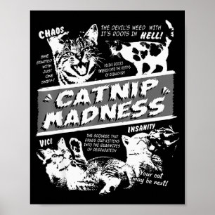 Kattekruid Waanzin Mooie Kitten Grappige Kat Huisd Poster