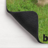 katteliefde muismat (Hoek)