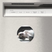 kattemagneet magneet (Insitu (Vaatwasser))