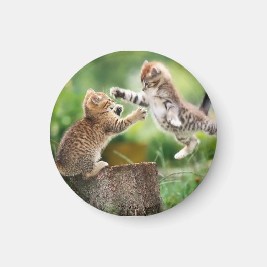 kattemagneet magneet (Voorkant)