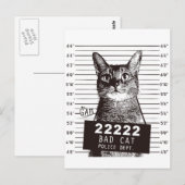 kattemugshot briefkaart (Voorkant / Achterkant)