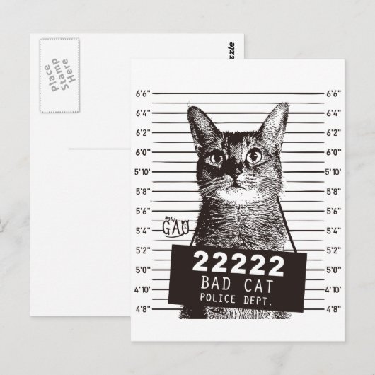 kattemugshot briefkaart (Voorkant / Achterkant)