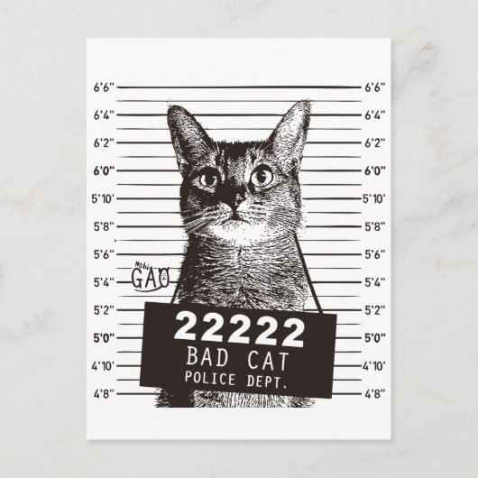 kattemugshot briefkaart (Voorkant)