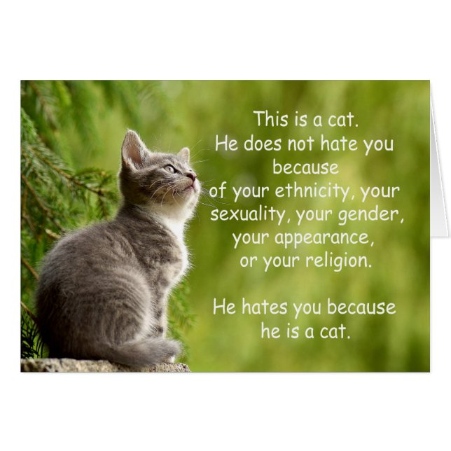 Katten (Voorkant Horizontaal)