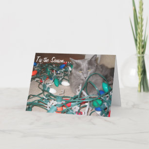 Katten 034, Tangled Lights! Feestdagen Kaart