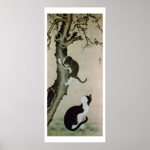 Katten, 17e eeuw (inkt op zijde) poster