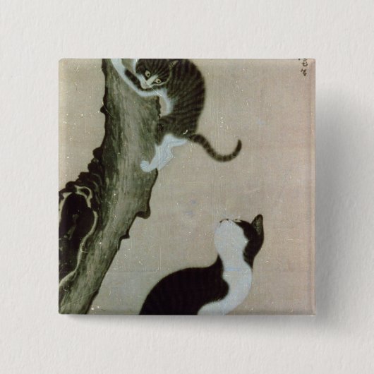Katten, 17e eeuw (inkt op zijde) vierkante button 5,1 cm (Voorkant)