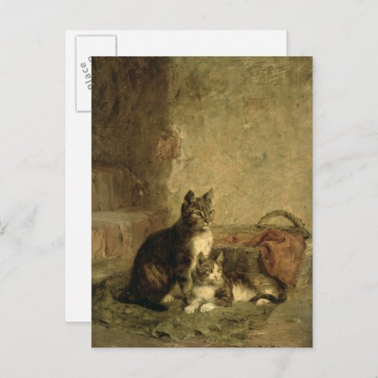 Katten, 1883 briefkaart (Voorkant / Achterkant)