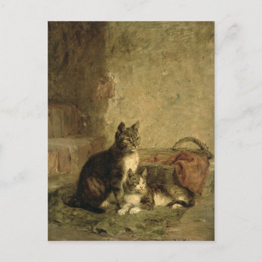 Katten, 1883 briefkaart (Voorkant)
