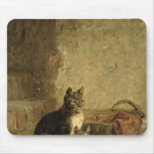 Katten, 1883 muismat