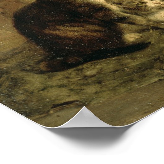 Katten, 1883 poster (Hoek)