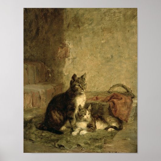 Katten, 1883 poster (Voorkant)