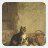 Katten, 1883 vierkante sticker (Voorkant)
