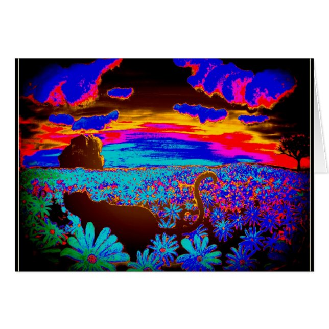 Katten 2 (Voorkant Horizontaal)