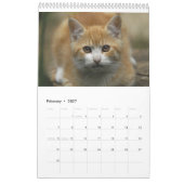 Katten 2014 - Een kalender voor kattendeksels (Feb 2027)
