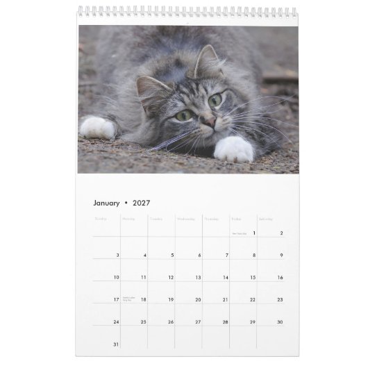 Katten 2014 - Een kalender voor kattendeksels (Jan 2027)