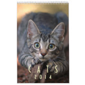 Katten 2014 - Een kalender voor kattendeksels (Hoes)