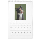 Katten 2014 - Een kalender voor kattendeksels (Mar 2026)