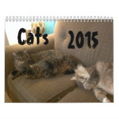 Katten 2015 Marlowe, Pepers en Griffin Kalender (Hoes)