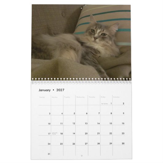 Katten 2015 Marlowe, Pepers en Griffin Kalender (Jan 2027)