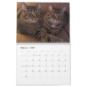 Katten 2015 Marlowe, Pepers en Griffin Kalender (Feb 2027)