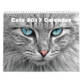 Katten 2017 kalender (Hoes)