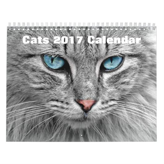 Katten 2017 kalender (Hoes)