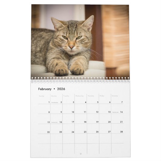 Katten 2017 kalender (Feb 2026)