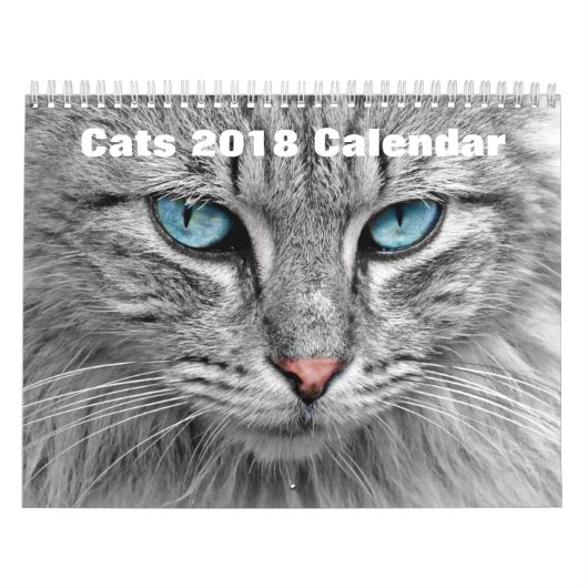 Katten 2017 kalender (Hoes)