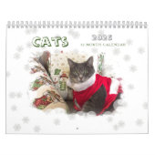 Katten 2024 Kalender (Hoes)
