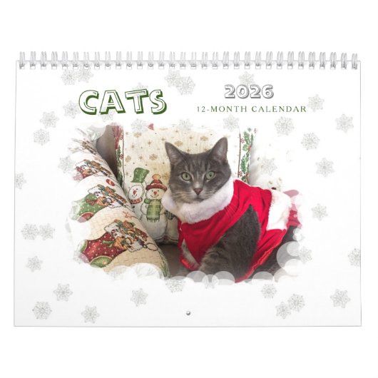 Katten 2024 Kalender (Hoes)