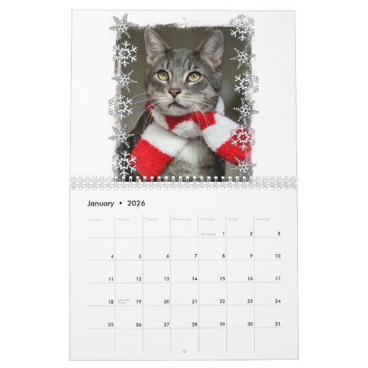 Katten 2024 Kalender (Jan 2026)